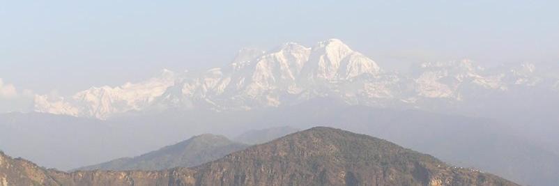 Samantha Pearcey banner