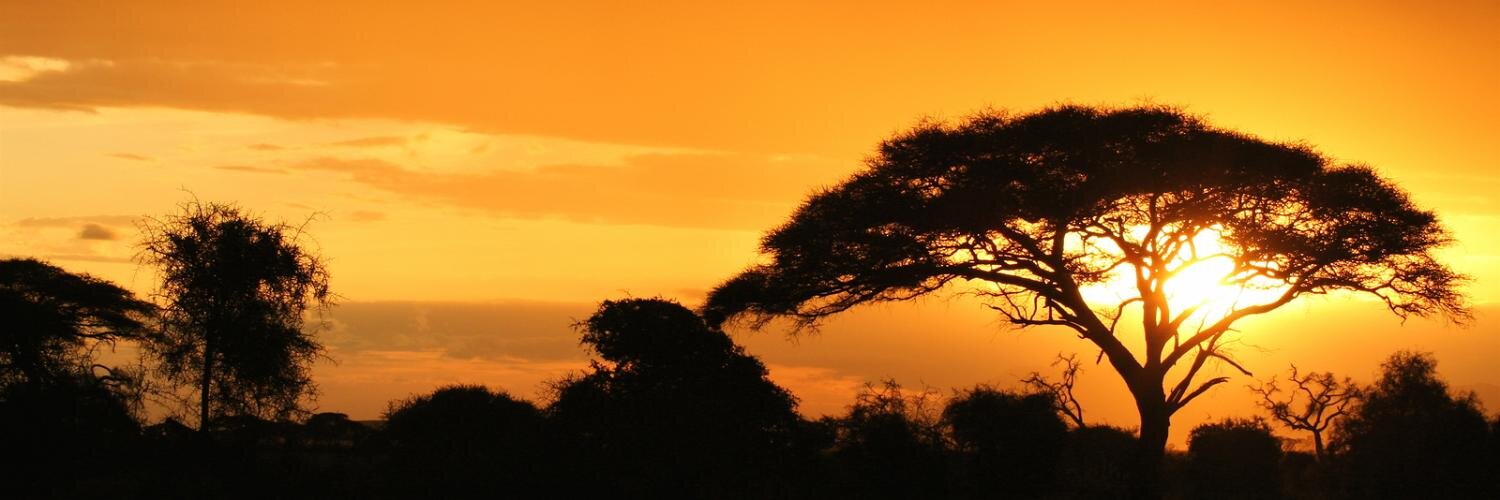 speakafrikaans's profile banner image
