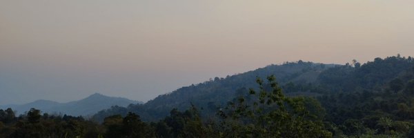 MiniMeIsMine Profile Banner