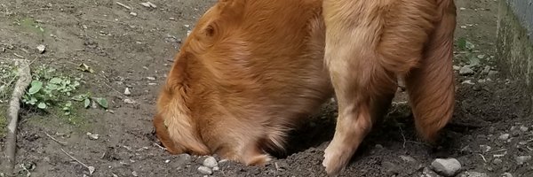 TatersTails Profile Banner