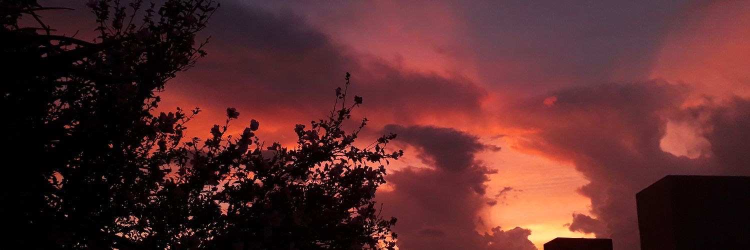 maletovo's profile banner image