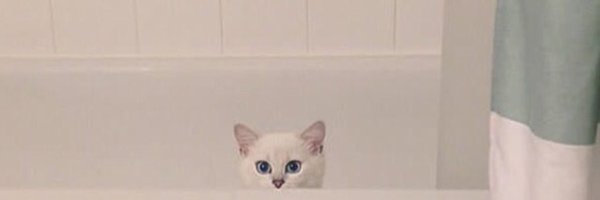 meyleenaa's profile banner image