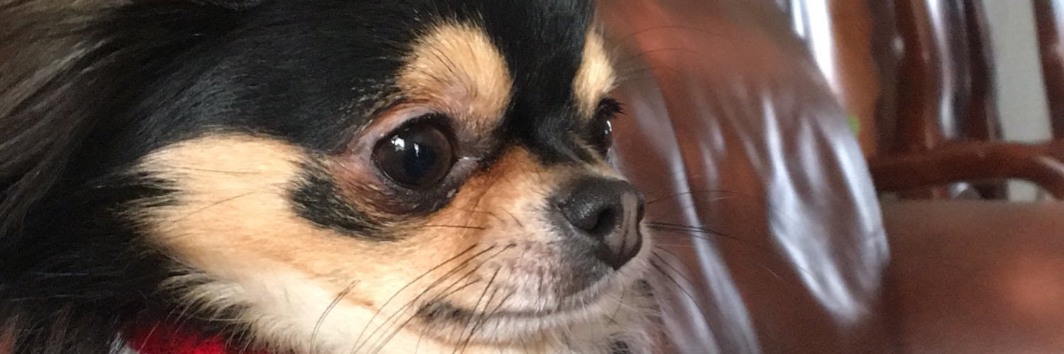 kayroool's profile banner image