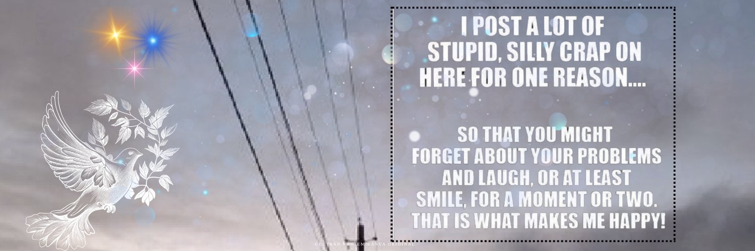 ❤️NIKKI❤️ banner