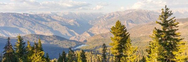 bing Profile Banner