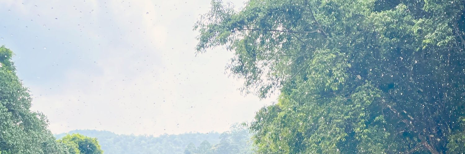 chumnuan's profile banner image
