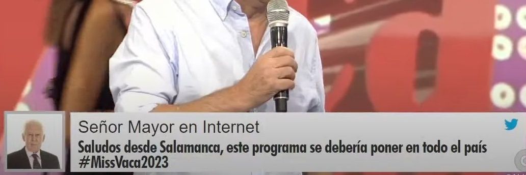 Señor Mayor en Internet banner