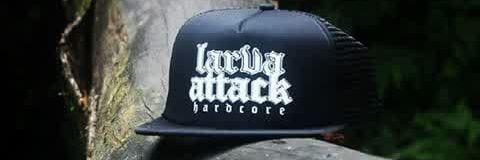 LARVA ATTACK banner
