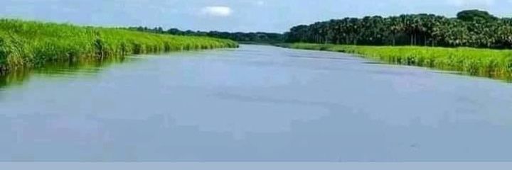 Chol52765586's profile banner image