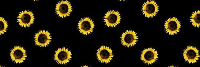 aylenfrisoli's profile banner image