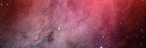 lucky bear🎆 banner