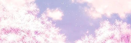 FreeStuffToEat's profile banner image