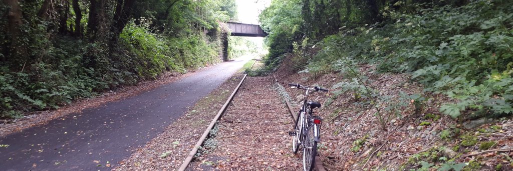 Irish Greenways banner