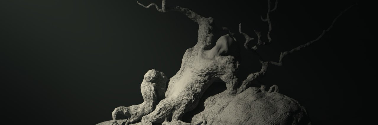 ScoutingTheNarrowRoad banner