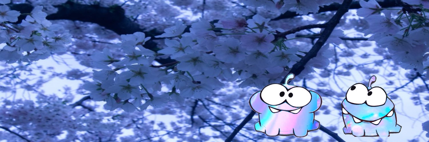 orca banner