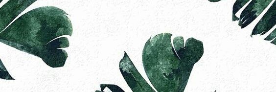 camiac08's profile banner image