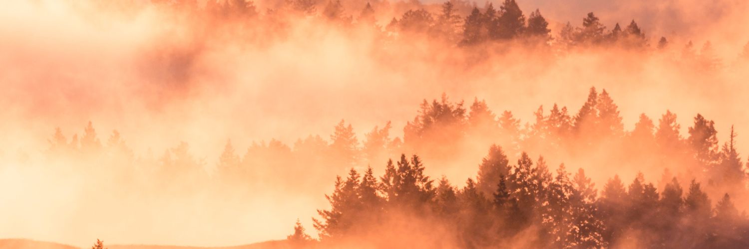 ashish_asdf's profile banner image