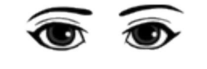 lari fã da giselle banner