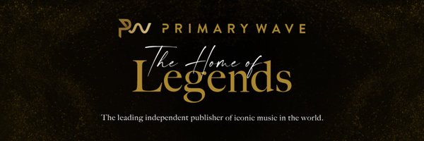 Primary Wave Profile Banner