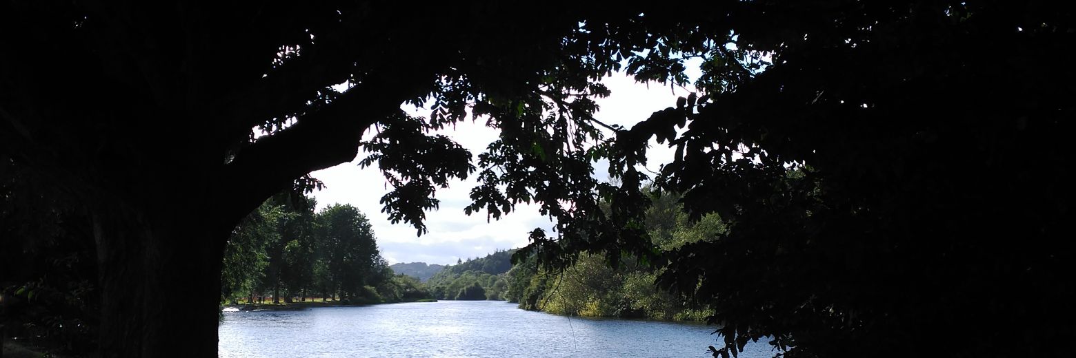 Lorena Cano-Orón banner