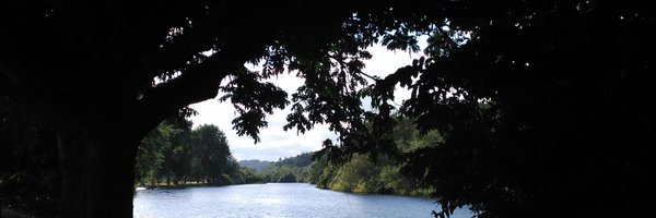 Loreneando Profile Banner