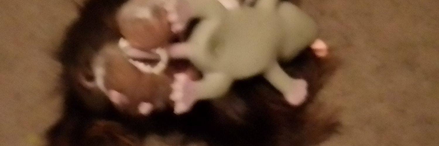 Monkeynut banner
