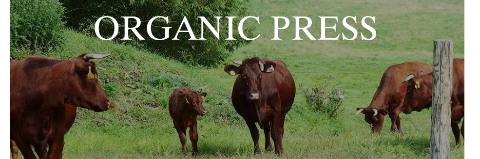 organic_press's profile banner image