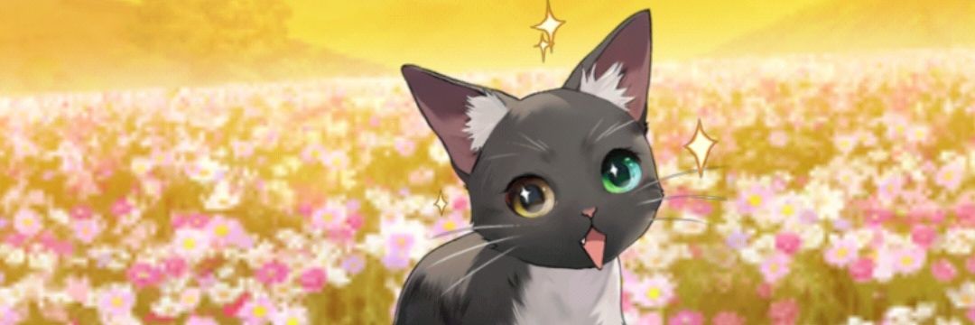docu_hu's profile banner image