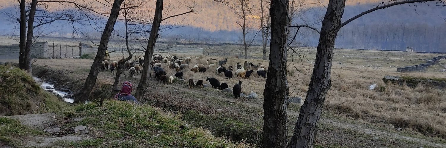 🇮🇷 αяαѕнтη 🇮🇷 banner