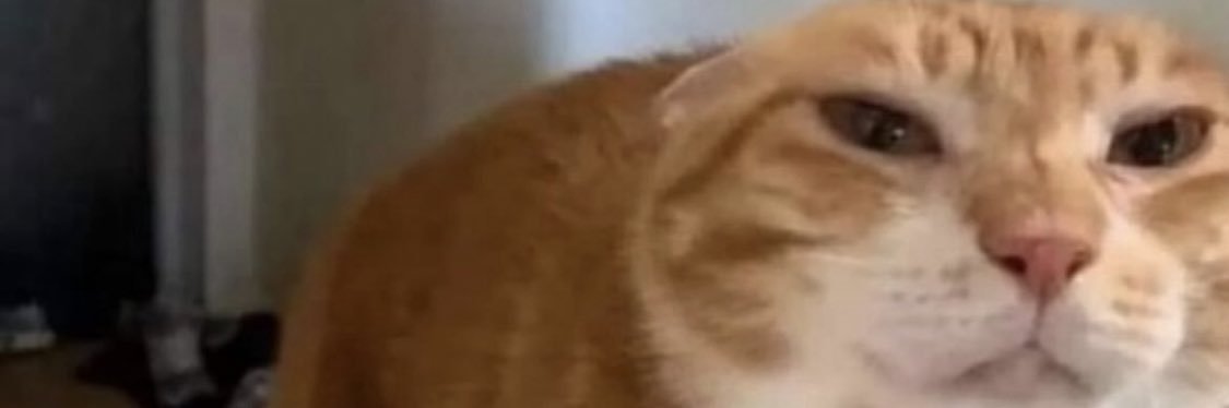 cheezyburriito's profile banner image