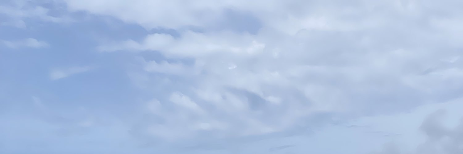 Ricardof1001's profile banner image