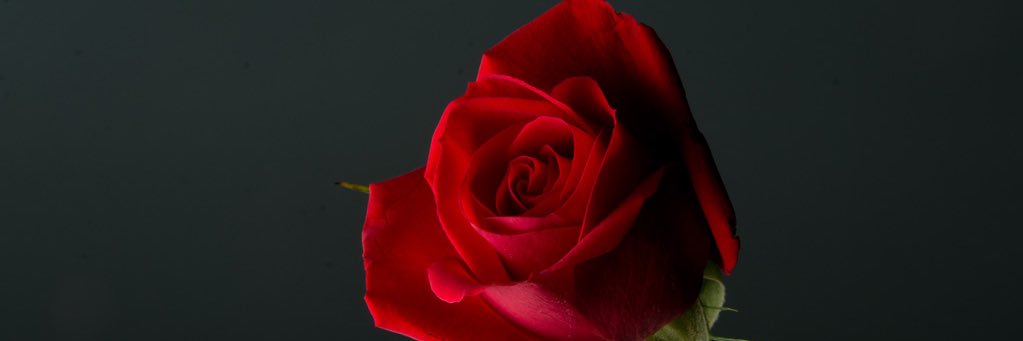 pero064's profile banner image