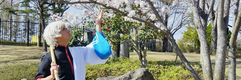 asuterasac's profile banner image