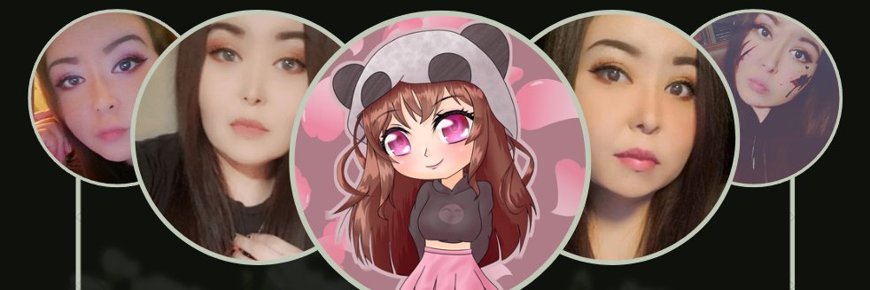 TheAmazingPandah banner