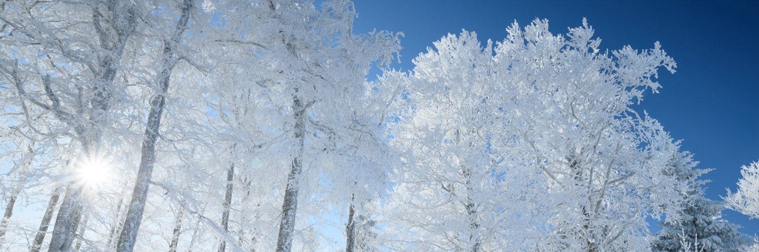 Asso Infoclimat banner