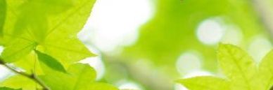 Devy Yheanne banner