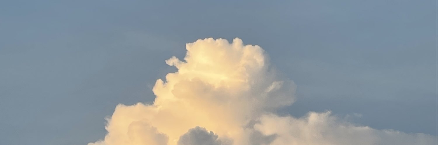 srlbestt's profile banner image
