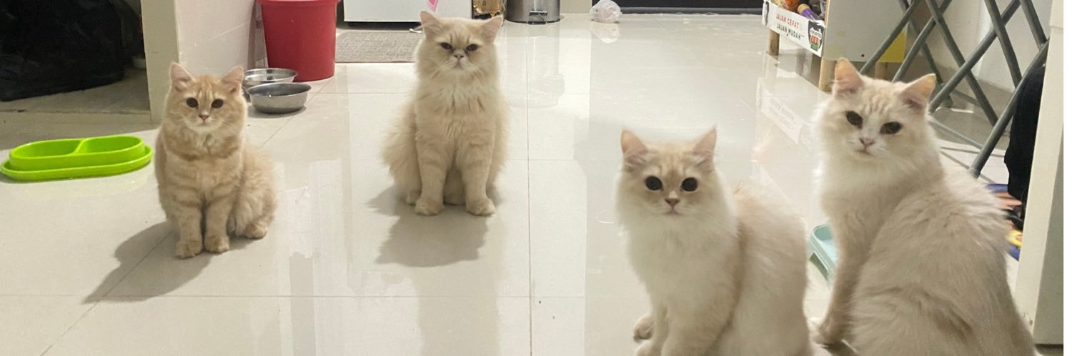 Chintia Dwi Lestari banner