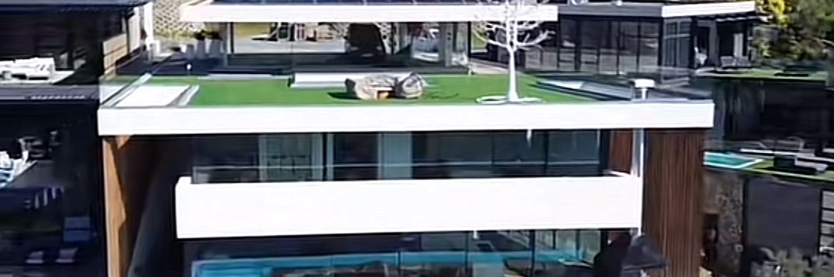 Poi_Lenyatso🦚🌍 banner