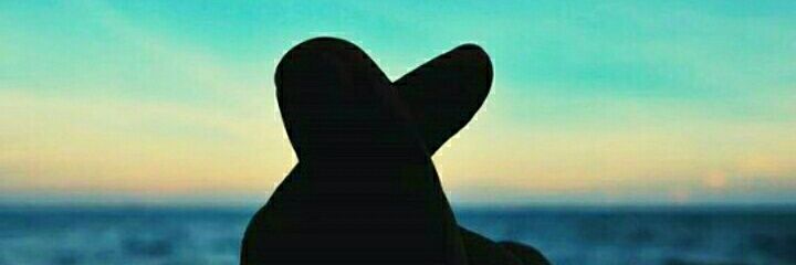 Herianthy135's profile banner image