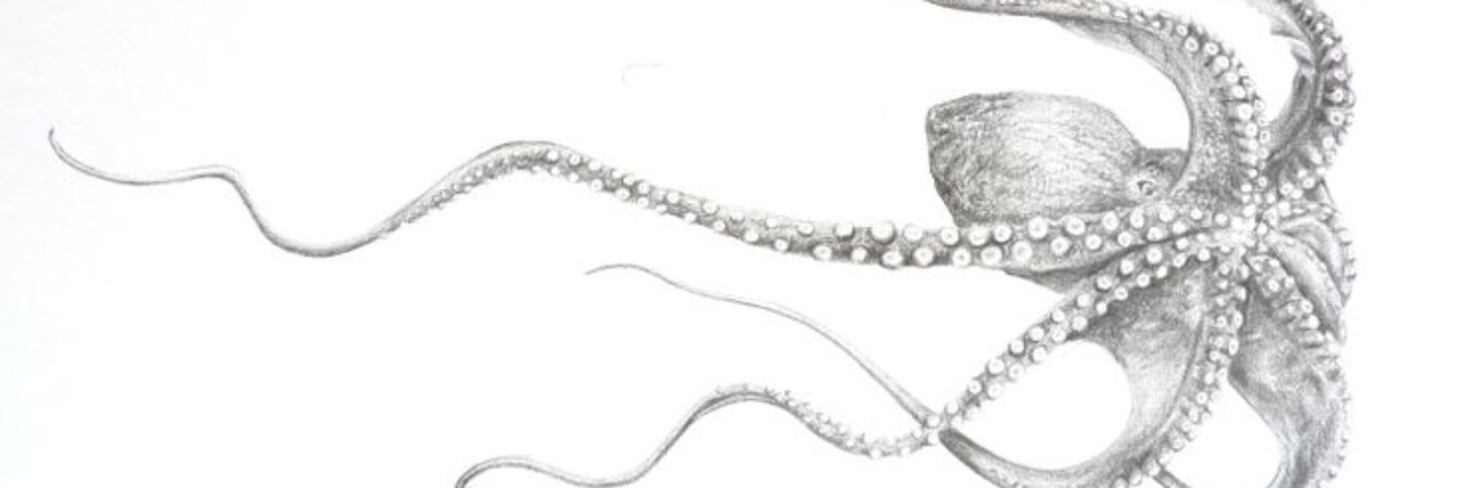 clairgarland's profile banner image