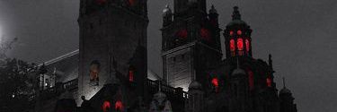 𝑺𝒉𝒂𝒏𝒏𝒐𝒏 banner