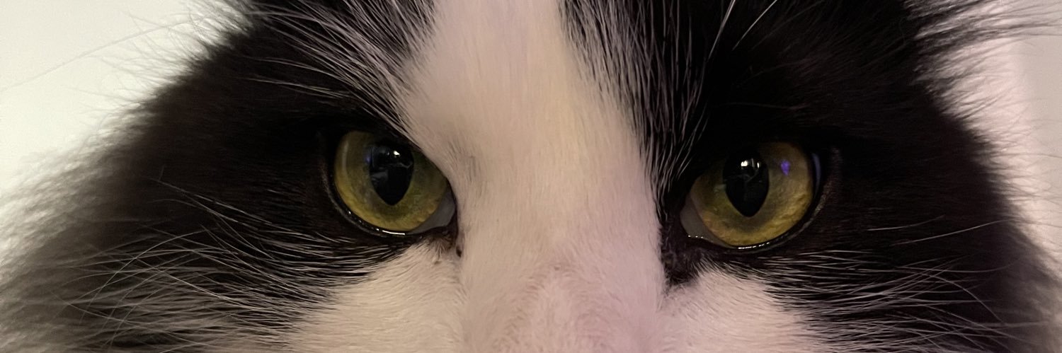 AlyssaOreo's profile banner image