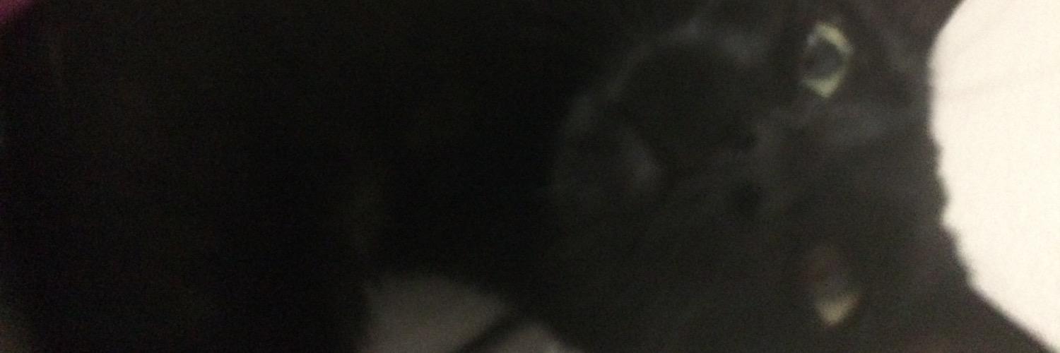 brittcgriff's profile banner image