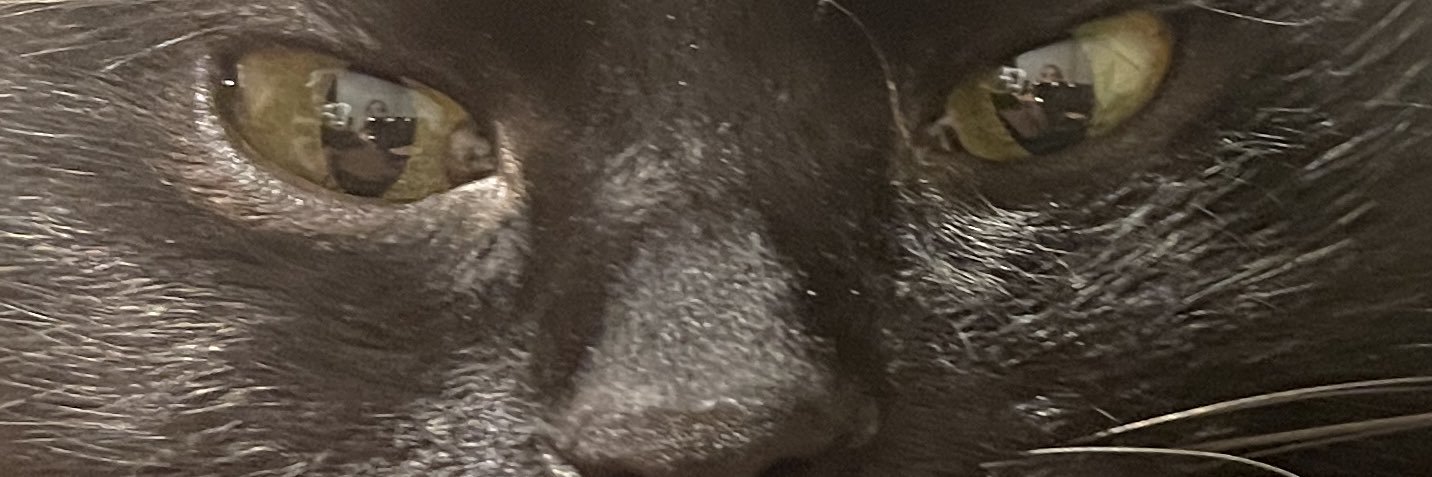 ₍ᐢ⓿ᴥ⓿ᐢ₎ banner