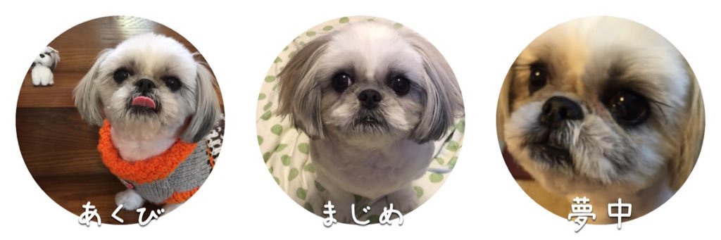 hacchy22's profile banner image
