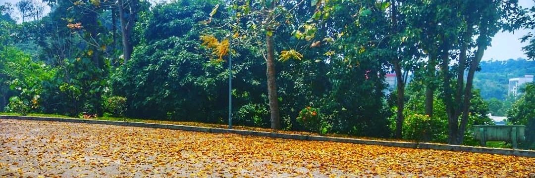 azwanazimi's profile banner image