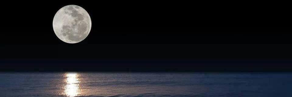 belgik5581's profile banner image