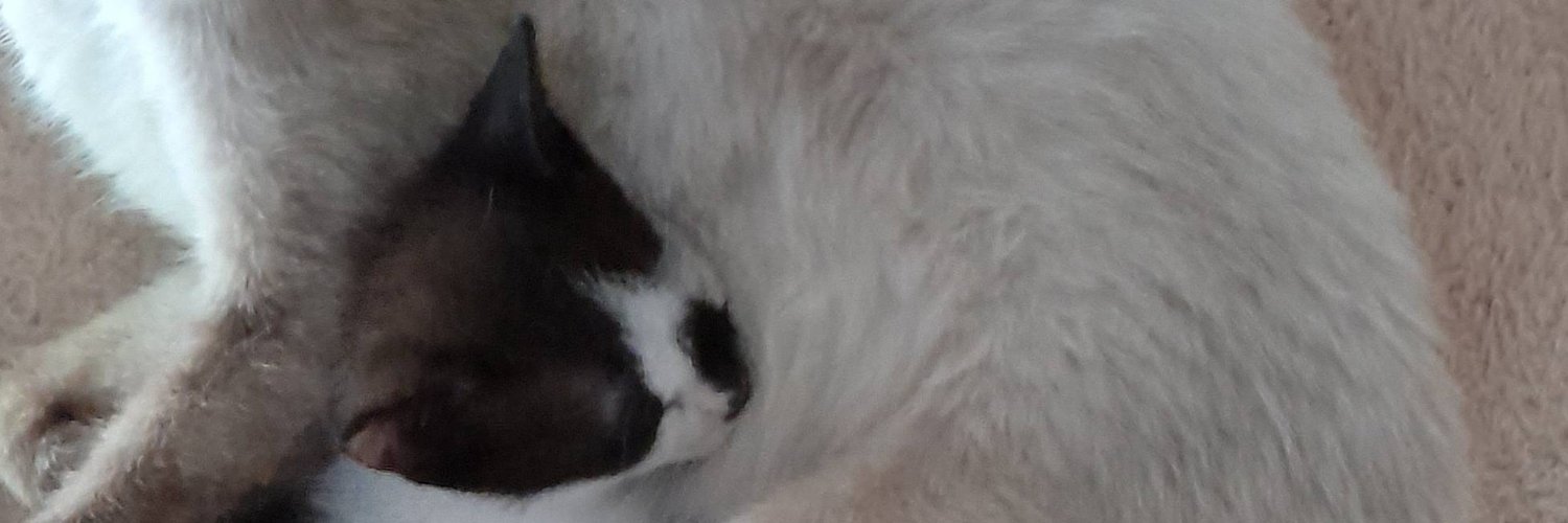 notfrommeta's profile banner image