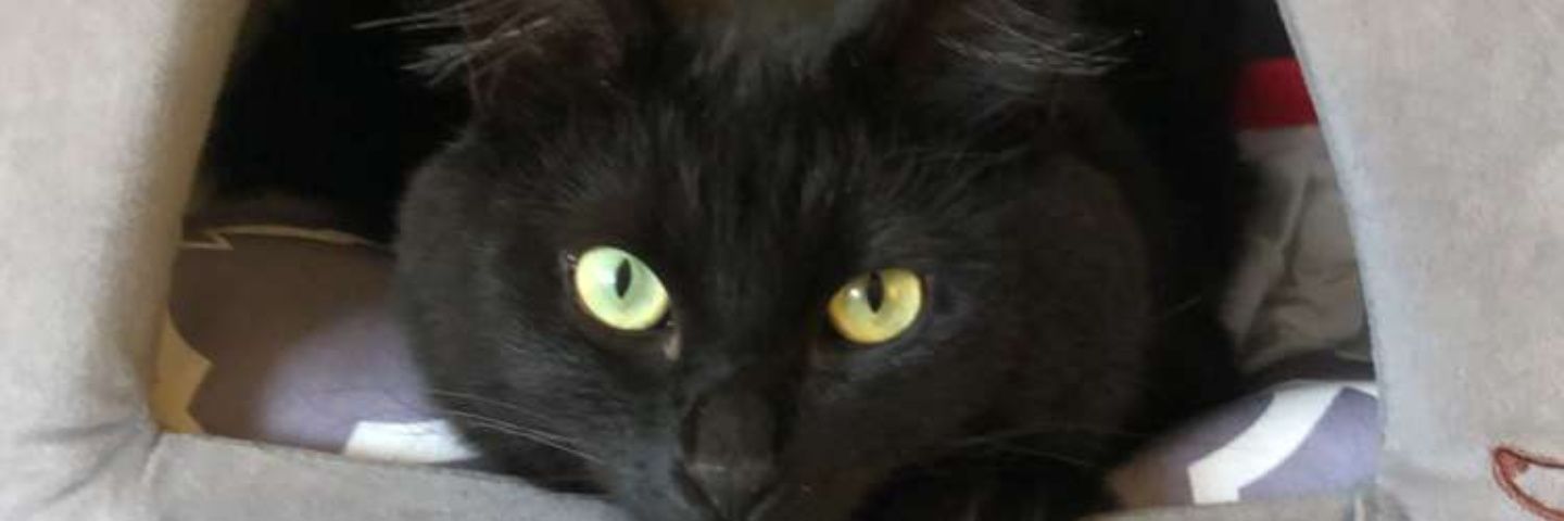 cfergz67's profile banner image